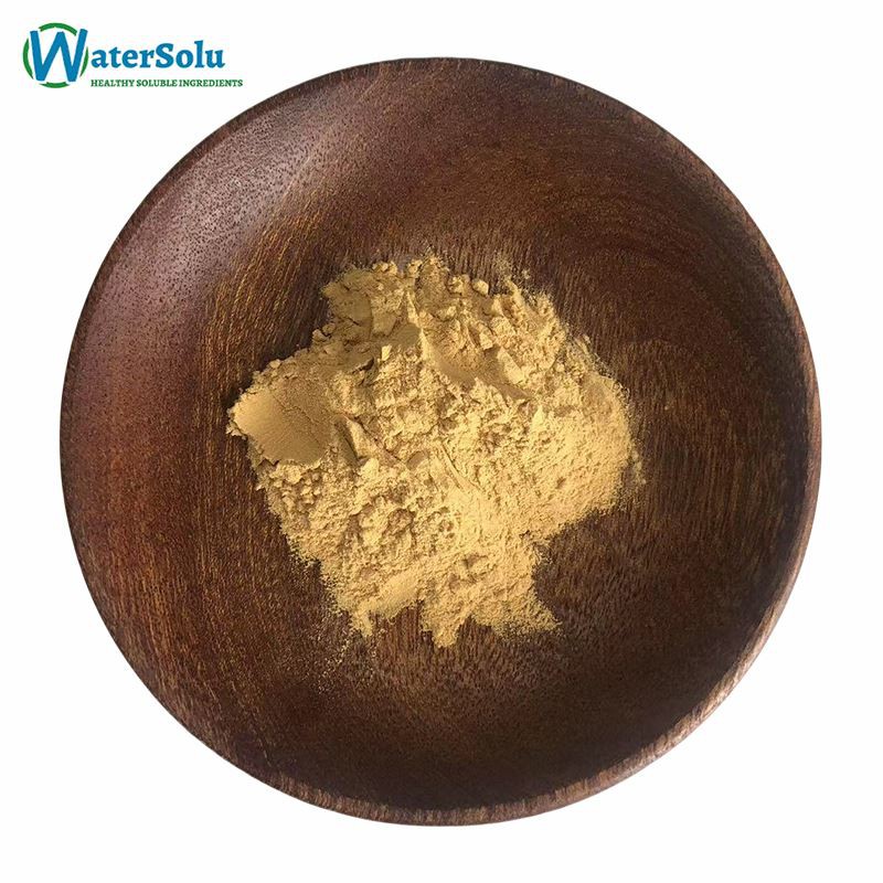 Honeysuckle Extract Powder