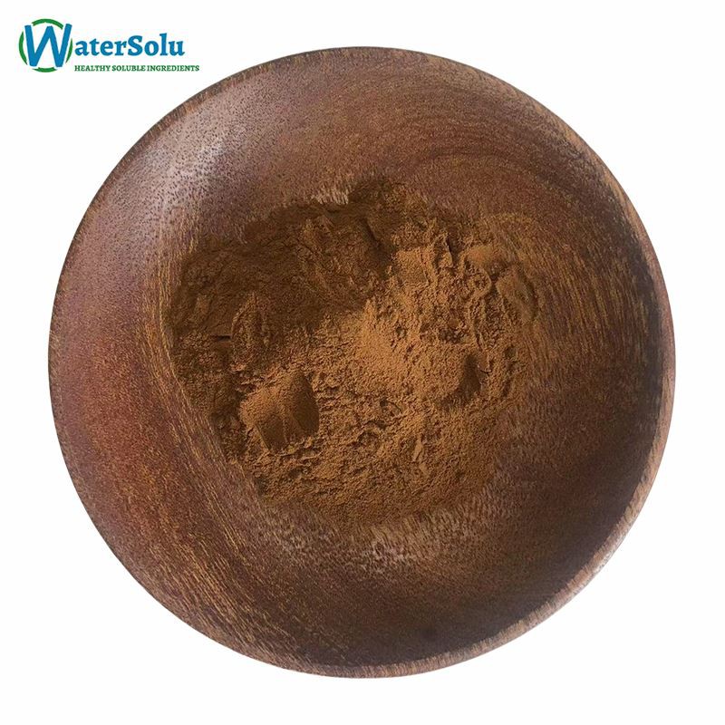 Senna Leaf Extract Powder